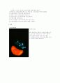 kirlian 킬리안 전기를 이용한 사진 실험. 7페이지