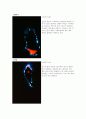 kirlian 킬리안 전기를 이용한 사진 실험. 8페이지