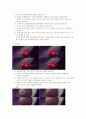 초고속 사진 - 공기총 탄환 실험 8페이지