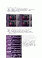 초고속 사진 - 공기총 탄환 실험 10페이지