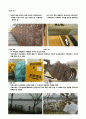 선유도 공원의 조사와 문제점 5페이지