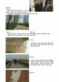 선유도 공원의 조사와 문제점 6페이지