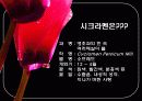 시클라멘의 특징과 분류 및 품종 3페이지