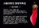 시클라멘의 특징과 분류 및 품종 9페이지