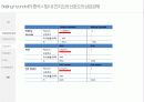 중국소비자 구매행동분석 9페이지