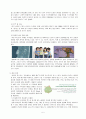 페쩨르부르크 근대화 5페이지