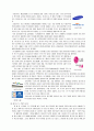 스포츠를 이용한 마케팅 ( The Marketing with Sports) 5페이지