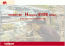 홈에버(HOMEVER)경영사례와 마케팅전략제시 1페이지