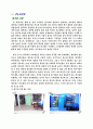 플스방 사업계획서와 마케팅전략기획서 30페이지