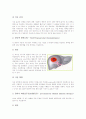[간암의 정의][간암의 원인][간암의 현황][간암의 자각증상][간암의 치료법][간암의 예방법][간질환]간암의 정의, 간암의 원인과 간암의 현황, 간암의 자각증상 및 간암의 치료법, 간암의 예방법 분석 5페이지
