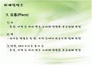사업계획서 19페이지