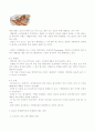 입소문 마케팅(바이럴 마케팅)의 향후 전망, 입소문 마케팅(바이럴 마케팅) 사례 분석, 입소문 마케팅(바이럴 마케팅)의 종류, 입소문 마케팅(바이럴 마케팅)의 본질 및 패러다임 9페이지