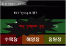 문화마케팅-장례문화 6페이지