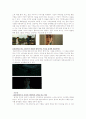오만과 편견 시퀀스 분석(영화 분석)   7페이지