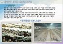 실크로드문화 발자취를 따라서 6페이지