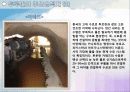 실크로드문화 발자취를 따라서 11페이지