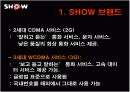 쇼(show) 광고전략분석과 문제점및 해결방안 3페이지