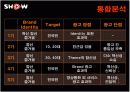 쇼(show) 광고전략분석과 문제점및 해결방안 12페이지