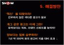 쇼(show) 광고전략분석과 문제점및 해결방안 15페이지