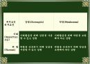 경영전략의목표,경영전략의 의의와 추진과정 36페이지