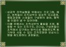 경영전략의목표,경영전략의 의의와 추진과정 45페이지
