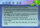 DKA 간호과정.당뇨병성 케토산증.Diabetic Ketoacidosis 35페이지