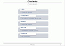 마케팅원론 발표자료_쏘나타의 마케팅전략 2페이지