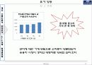 마케팅원론 발표자료_쏘나타의 마케팅전략 17페이지