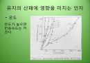 유지식품의 산패 매커니즘 26페이지