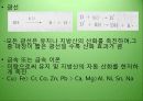 유지식품의 산패 매커니즘 28페이지