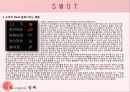 딤채 마케팅전략분석 13페이지