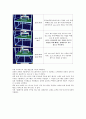 시뮬레이션 프로그램을 사용하고 프로그램짜기 4페이지