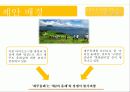 제주 올레길에 대한 이벤트 상품 기획안 4페이지