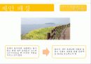 제주 올레길에 대한 이벤트 상품 기획안 5페이지