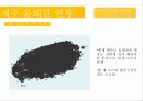 제주 올레길에 대한 이벤트 상품 기획안 7페이지