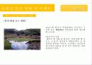 제주 올레길에 대한 이벤트 상품 기획안 16페이지