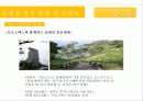 제주 올레길에 대한 이벤트 상품 기획안 22페이지