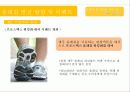 제주 올레길에 대한 이벤트 상품 기획안 23페이지