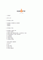 싸이월드(cyworld)마케팅전략과 문제점및해결방안제시 2페이지