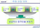 애니콜 중국시장진출 마케팅사례분석 2페이지