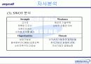 애니콜 중국시장진출 마케팅사례분석 10페이지