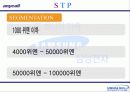 애니콜 중국시장진출 마케팅사례분석 12페이지