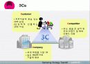 라네즈옴므 마케팅전략분석 - 3Cs, SWOT, Product Life Cycle 6페이지