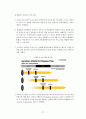 스마트폰OS 28페이지