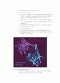 edible Vaccine(경구백신) 에 관한 레포트 준비자료입니다. 6페이지