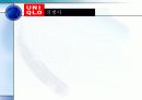 유니클로 마케팅전략분석과 대응방안 5페이지