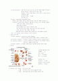 중환자간호 18페이지