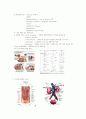 중환자간호 21페이지