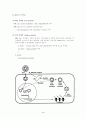 간염바이러스(Hepatitis Viruses) 4페이지