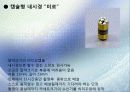 나노기술의 응용(로봇, 기계) 15페이지